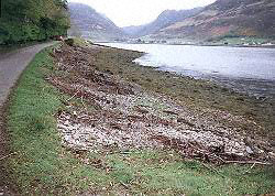 Loch Long near Conchra