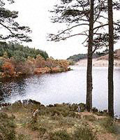 Loch Lundie